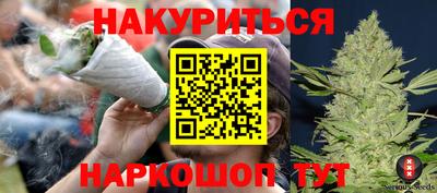 сатива Будённовск