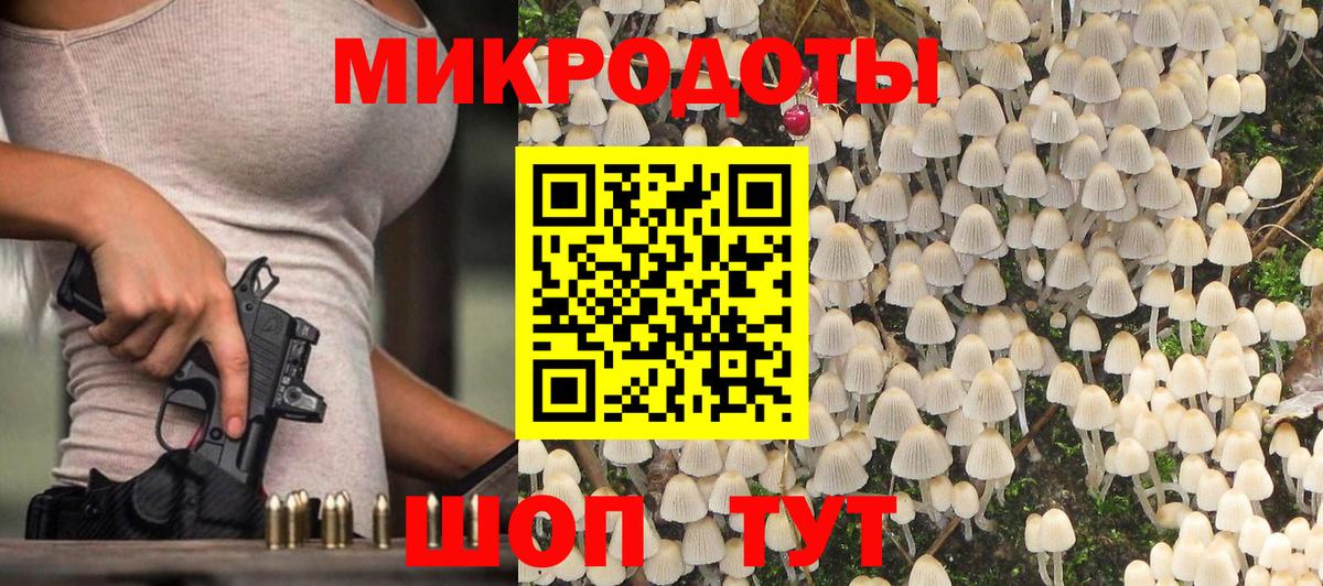 Галлюциногенные грибы Cubensis Нижний Тагил