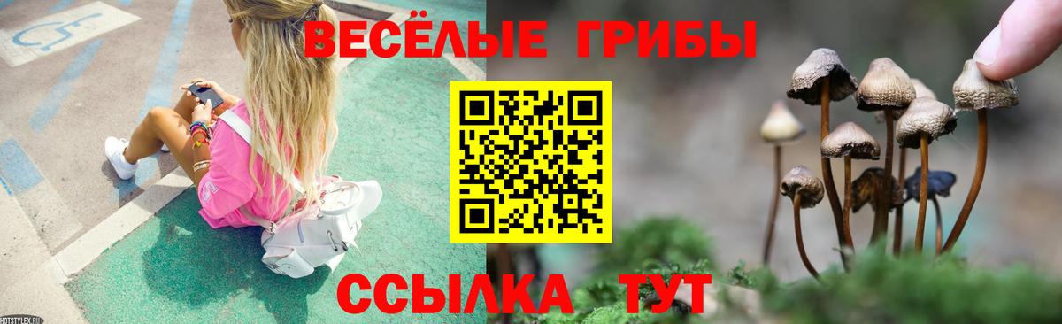 Галлюциногенные грибы мицелий  Вход с VPN  Нижний Тагил  Псилоцибиновые грибы GOLDEN TEACHER 